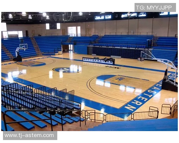 体育馆运动木地板十大品牌推荐及选购指南助您打造完美运动环境